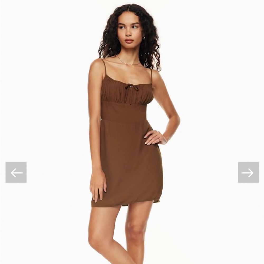 Aritzia Women's Sunday Best Brown Mini Dress